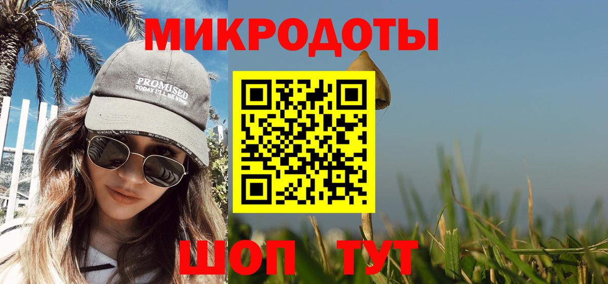 Псилоцибиновые грибы мицелий Норильск