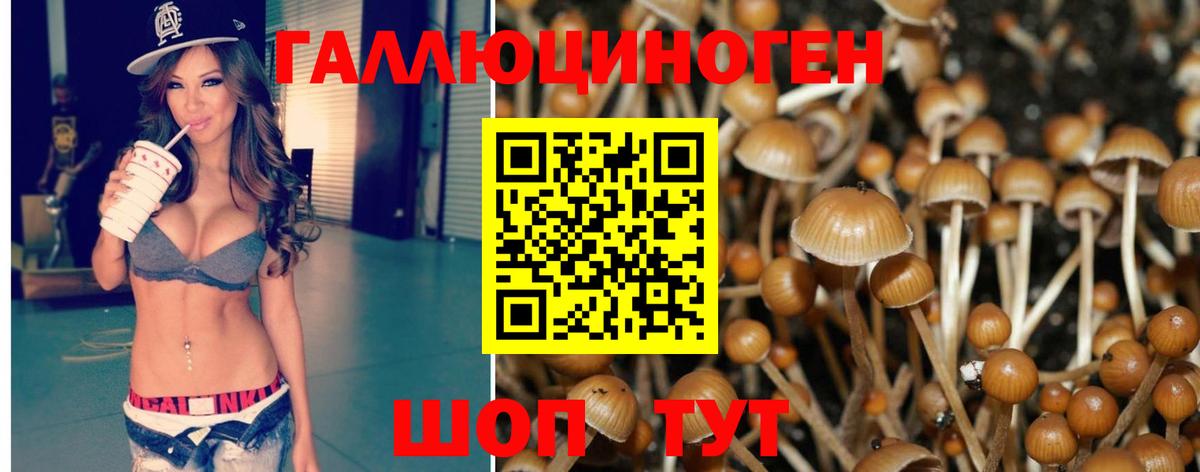 Норильск  Галлюциногенные грибы мухоморы  Псилоцибиновые грибы мухоморы  Вход с VPN 